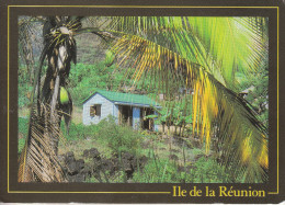 La Réunion - Saint Paul - Une Maison Bien Cachée Dans La Nature - Saint Paul