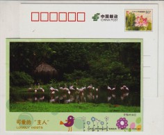 Greater Flamingo,China 2011 Guangzhou Zoo Lovely Hosts Animal Advertising Pre-stamped Card - Flamingos