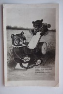 Tiger And Bear - - Very  Old Soviet Postcard - 1935 - Rare! - Tiger