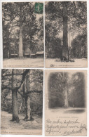 TH032/ Lot De 9 Cartes Thème Des Arbres - Foret De Fontainebleau - Trees