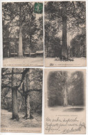 TH032/ Lot De 9 Cartes Thème Des Arbres - Foret De Fontainebleau - Arbres