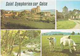 Cpsm Saint Symphorien Sur Coise- Multi Vues - Saint-Symphorien-sur-Coise