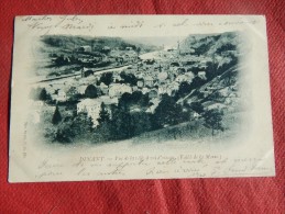 DINANT -   Vue De La Ville à Vol D'oiseau (vallée De La Meuse)   -   1900   - (2 Scans) - Dinant