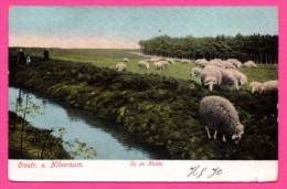 Omstr. V. Hilversum - Op De Heide - Moutons - Animée - SCHAEFERS KUNST-CHROMO - 1906 - Colorisée - Hilversum