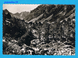 ** LE VIGNEMALE VU DU SENTIER DU LAC DE GAUBE (Hautes Pyrénées) ALTITUDE 1800 M. **.  // PHOTO VÉRITABLE - Aragnouet