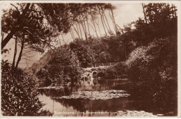 Vintage Sepia RP Postcard Branksome Chine Bournemouth Dorset Olga Boyd - Bournemouth (avant 1972)