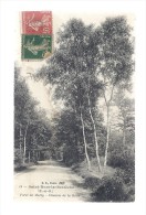 CPA 78- SAINT NOM LA BRETECHE - FORET DE MARLY - CHEMIN DE LA GARE - St. Nom La Breteche