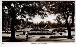 YORKS - HARROGATE - VALLEY GARDENS RP Y2827 - Harrogate