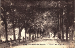 Carte Postale Ancienne De LAMARCHE - Lamarche