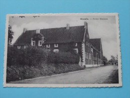 Momalle - Ferme Manjean () Anno 19?? ( Zie Foto Details ) !! - Remicourt