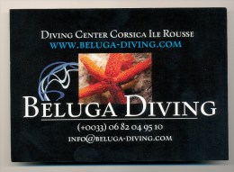 BELUGA DIVING - High Diving