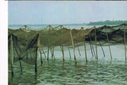 33801 ( 2 Scans ) Fishing Nets On Lagoon  Epe Lagos State - Nigeria