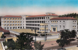 Afrique Algérie  TIARET Le Collège Moderne (Cpsm - Editions : Alexandre Sirecky  22)*PRIX FIXE - Tiaret