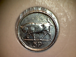 Irelande 5 Pence 1996 - Ireland