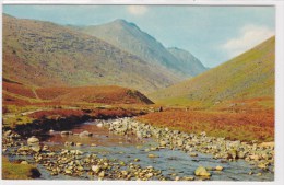 AUTUMN IN GLEN ROSA, ISLE OF ARRAN - Ayrshire