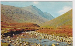 AUTUMN IN GLEN ROSA, ISLE OF ARRAN - Ayrshire