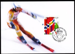 Norway Lillehammer 1994 / Olympic Games Lillehammer / Flags, Alpine Skiing - Invierno 1994: Lillehammer