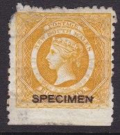 New South Wales 1880 SG 218as Cat.£300+ Mint Hinged - Neufs