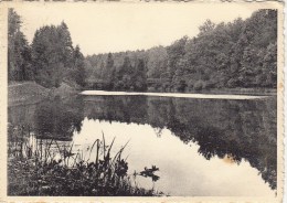 Habay-la-Neuve - La Trapperie - L'Etang Vers Bologne - Habay