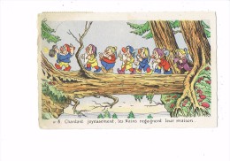 Cpa - Disney - N°8 Blanche Neige ET LES 7 NAINS - Tronc Arbre Champignon Lanterne Pelle Pioche - Tortues