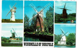 Windmills Of Norfolk   Molen / Miulin - Norwich