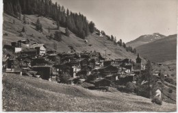 GRIMENTZ  AVEC CHALAIS AMIS DE LA NATURE - Grimentz