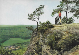 BERDORF - Point De Vue Du Plateau Du Roitzbach - Berdorf