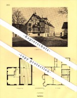 Photographien / Ansichten , 1928 , Gottlieben , Tägerwilen , Bez. Kreuzlingen , Prospekt , Architektur , Fotos !!! - Gottlieben