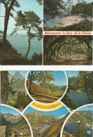 Lot N° 236 De 113 Cartes Postales De Paysages De Natures - 100 - 499 Karten