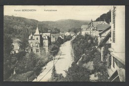 DEUTSCHLAND - GERMANIA: Kurort Bergzaben - Kurtalstrasse - Bad Bergzabern