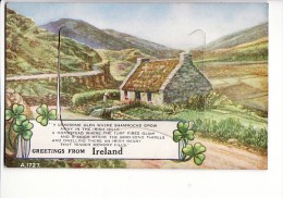 Carte à Système Avec Dépliant "Greetings From Ireland - Emerald Isle" / Edition Valentines "Mail Novelty" A.1727 - Autres & Non Classés