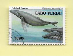 TIMBRES - STAMPS - CAP VERT / CAPE VERDE - 2003 - BALEINES - Megaptera Noyaengliae - TIMBRE OBLITÉRÉ - Kap Verde