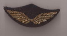 Ancien Insigne Casquette Officier Armée De L'Air - Luchtmacht