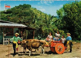 COSTA RICA  PAISAJE  TIPICO FOLKLORIC  OXCART      (VIAGGIATA) - Costa Rica