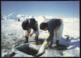 ARCTIC, GRÖNLAND, Color-card Unwritten, " Icefjordfishing ", Look Scan !! 6.2-27 - Arctic Expeditions