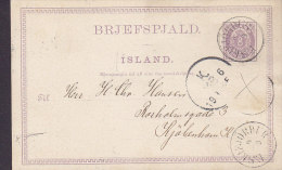 Iceland (Uprated) Postal Stationery Ganzsache Entier 8 Aur ESKIFJÖRDUR 1895 KJØBENHAVN Denmark (2 Scans) - Ganzsachen