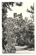 Cp, 03, Gorges De Chouvigny, Les Ruines Du Château Rocher - Other & Unclassified