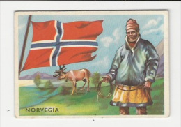 NORWAY NORGE NORVEGE NORVEGIA   Flag & Sketch -  Italian Old Picture-Card 1940´s Circa - Unclassified
