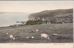 Kames Looking East,Kyles Of Bute/ Réf:C4305 - Bute