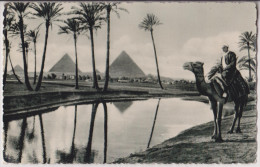 LANDSCAPE AT THE ENVIRONS OF THE PYRAMIDS OF GIZA - RARE - 2 SCANS - - Piramidi