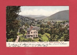 * CPA..Etats Unis..NEW YORK : Catskill Moutains - Pine Hill Village And Looking Towards Big Indian Station :  2 Scans - Catskills