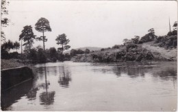 Quintanar De La Sierra - Alrededores - Carte Photo - Andere & Zonder Classificatie