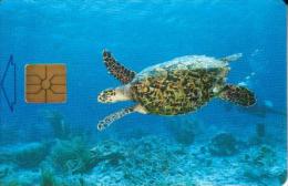 BONAIRE 60 U - 15 FL  TURTLE MARINE LIFE CHIP  BON- C14a CV$20US READ DESCRIPTION !! - Antillen (Niederländische)