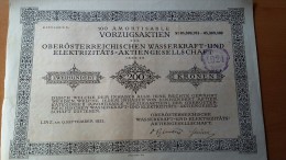 4001a: Aktie Oberösterreichische Wasserkraft- Und Elektriziäts- AG 1922 - Agua