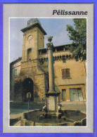 Carte Postale 13. Pélissanne  La Vieille Fontaine   Trés Beau Plan - Pelissanne