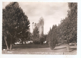 Somme - 80 - Albert Thiepval Monument De La Division De L'ulster Division Mémorial Ed Photo Cim - Albert