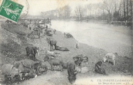 Villeneuve-la-Garenne - Les Berges De La Seine - Chevaux Et Anes - Carte LL N°85 - Villeneuve La Garenne