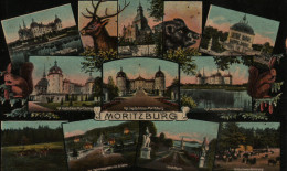 Moritzburg. Mehrbildkarte. Ca. 1915 - Moritzburg