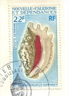 Nouvelle Calédonie 1970-71 - Poste Aérienne YT 113 (o) Sur Fragment - Gebraucht