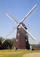 GENK (Limb.) - Molen/moulin/mill - De Galgemolen Uit Schulen Op Zijn Vorige Standplaats In Domein Bokrijk. - Genk